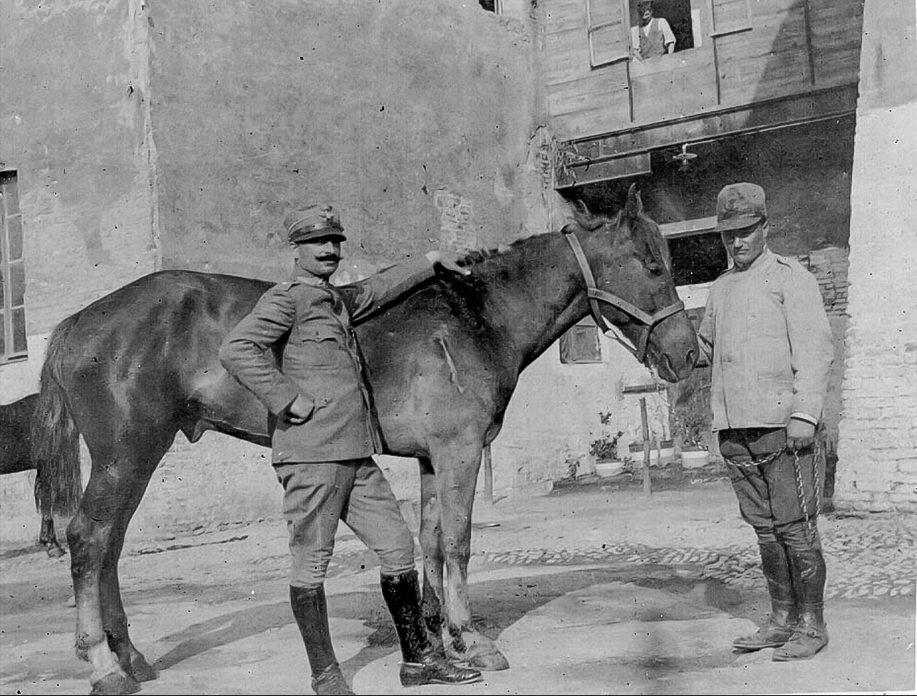 1916 Il veterinario