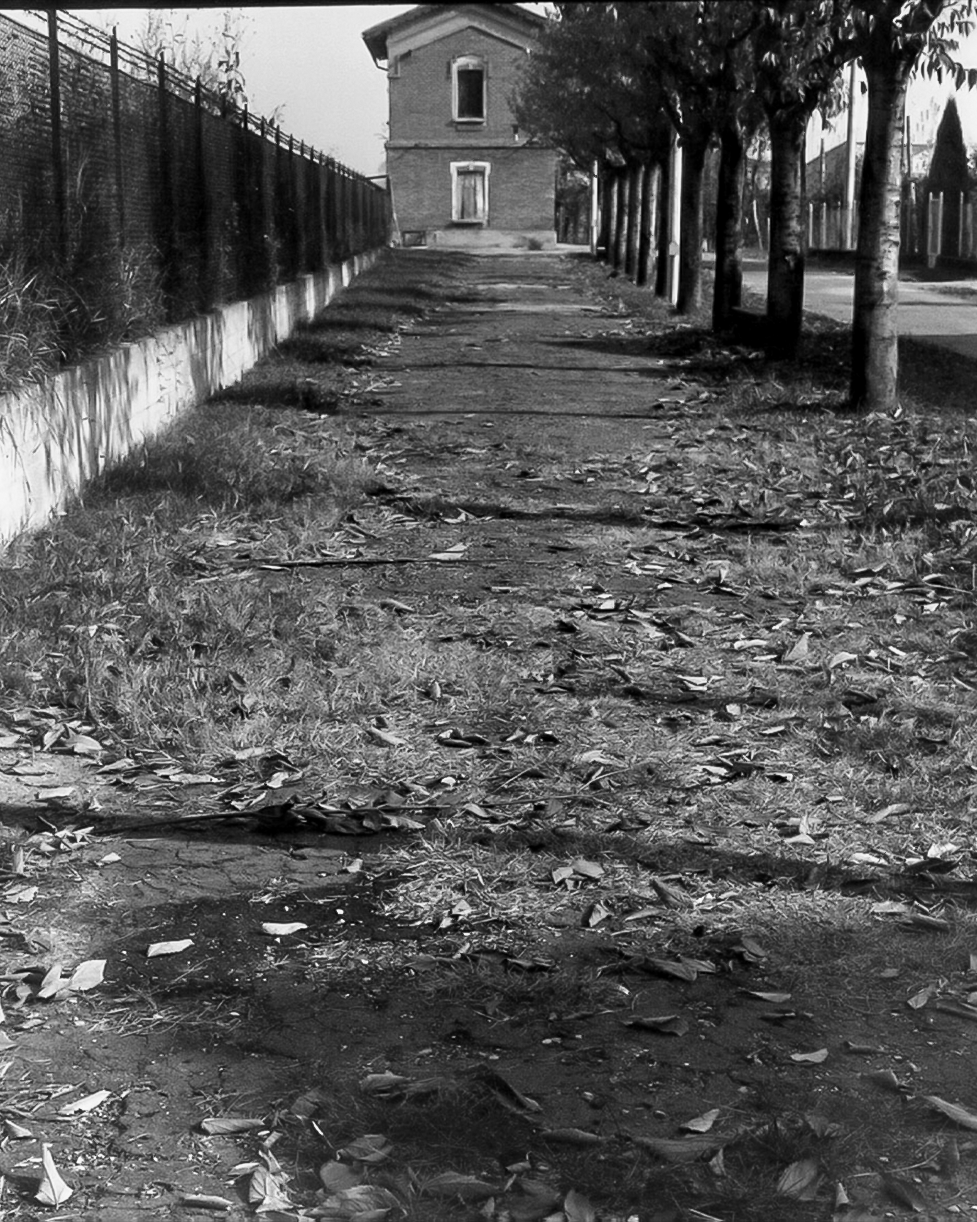 Dosso il viale della stazione