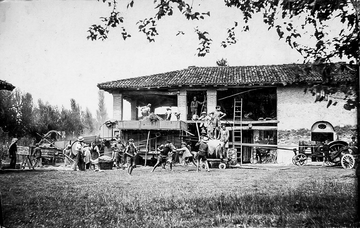 1938 Trebbiatura del grano