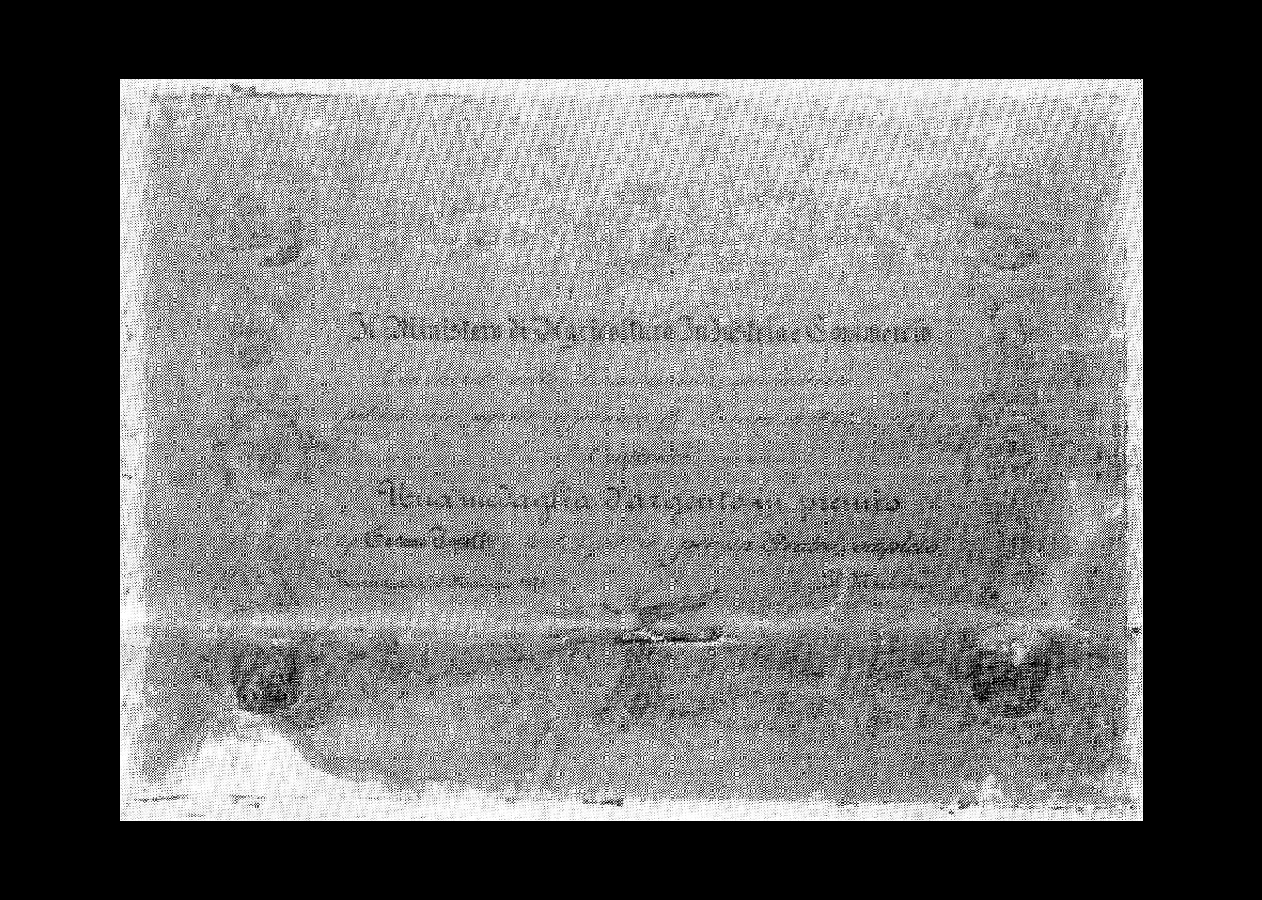 Toselli Gaetano Diploma 1875
