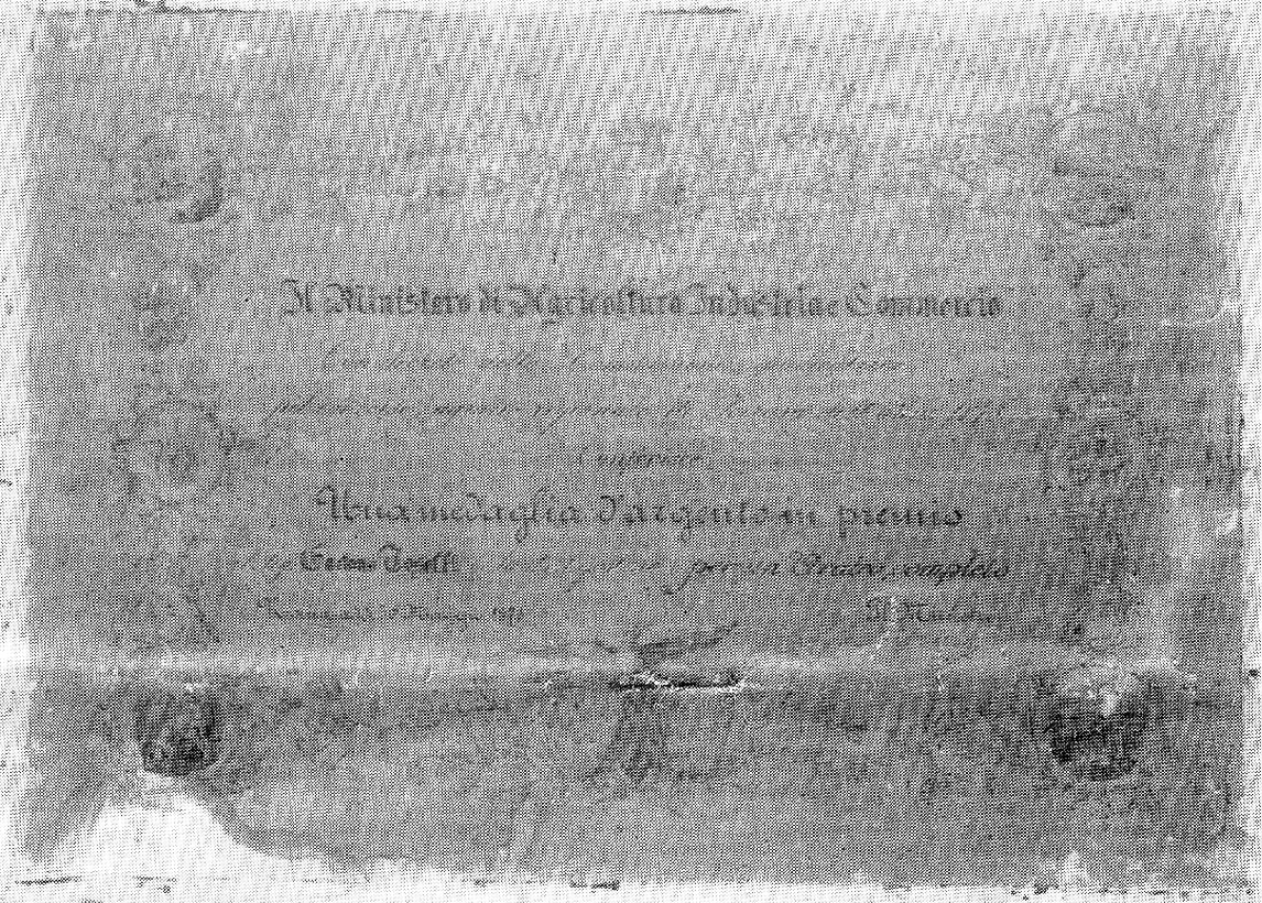 Toselli Gaetano  Diploma 1875