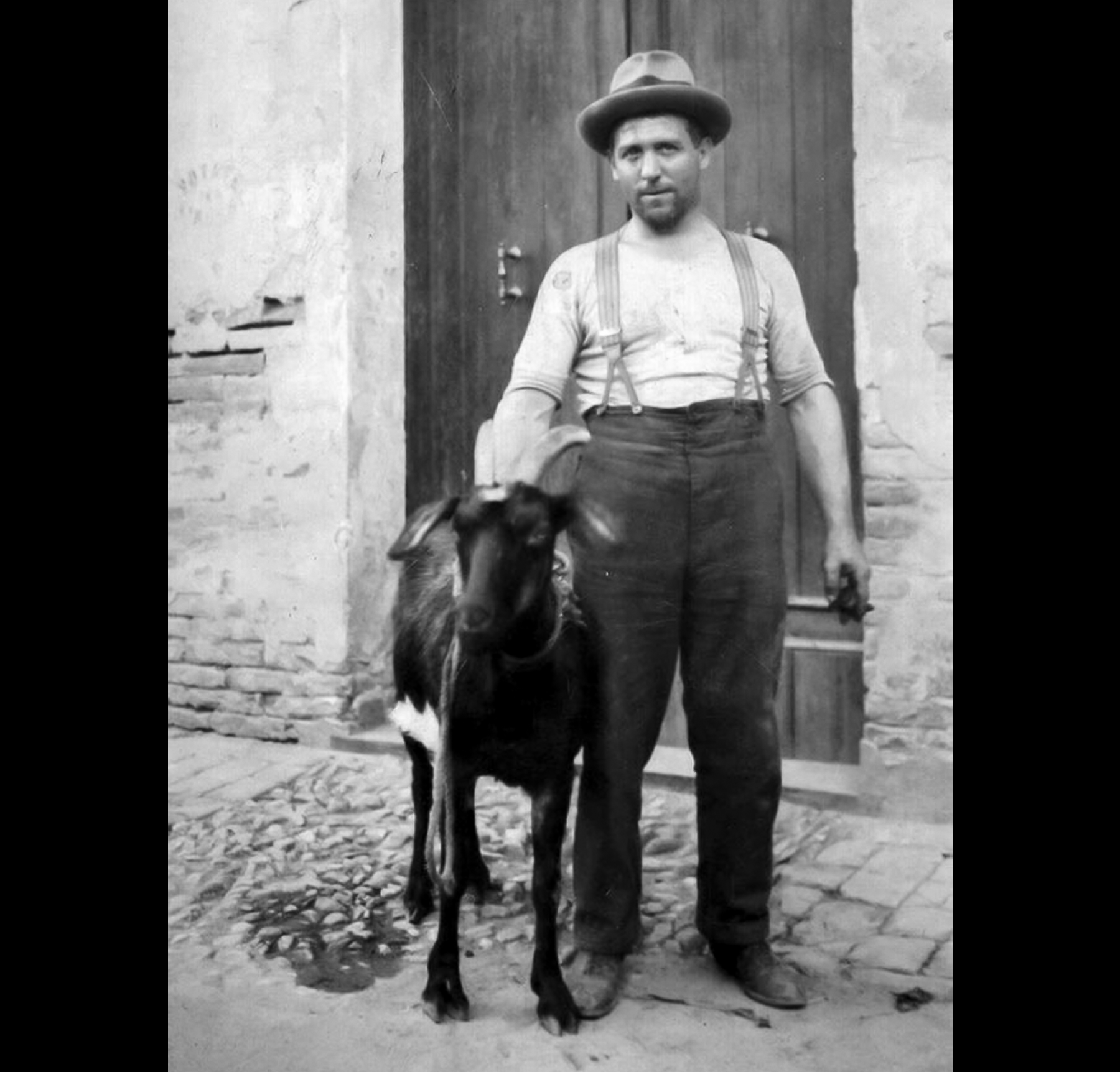 Malaguti Enea – maniscalco