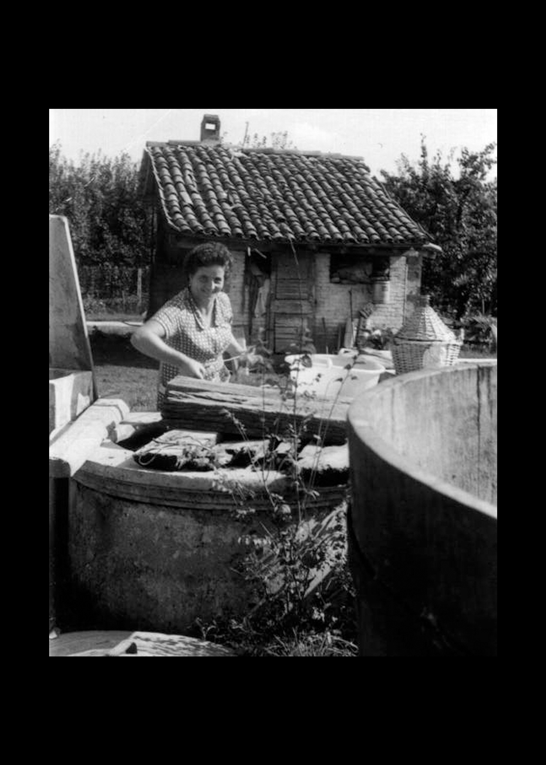 Rosina, moglie di Luigi Malaguti, nei preparativi della vendemmia