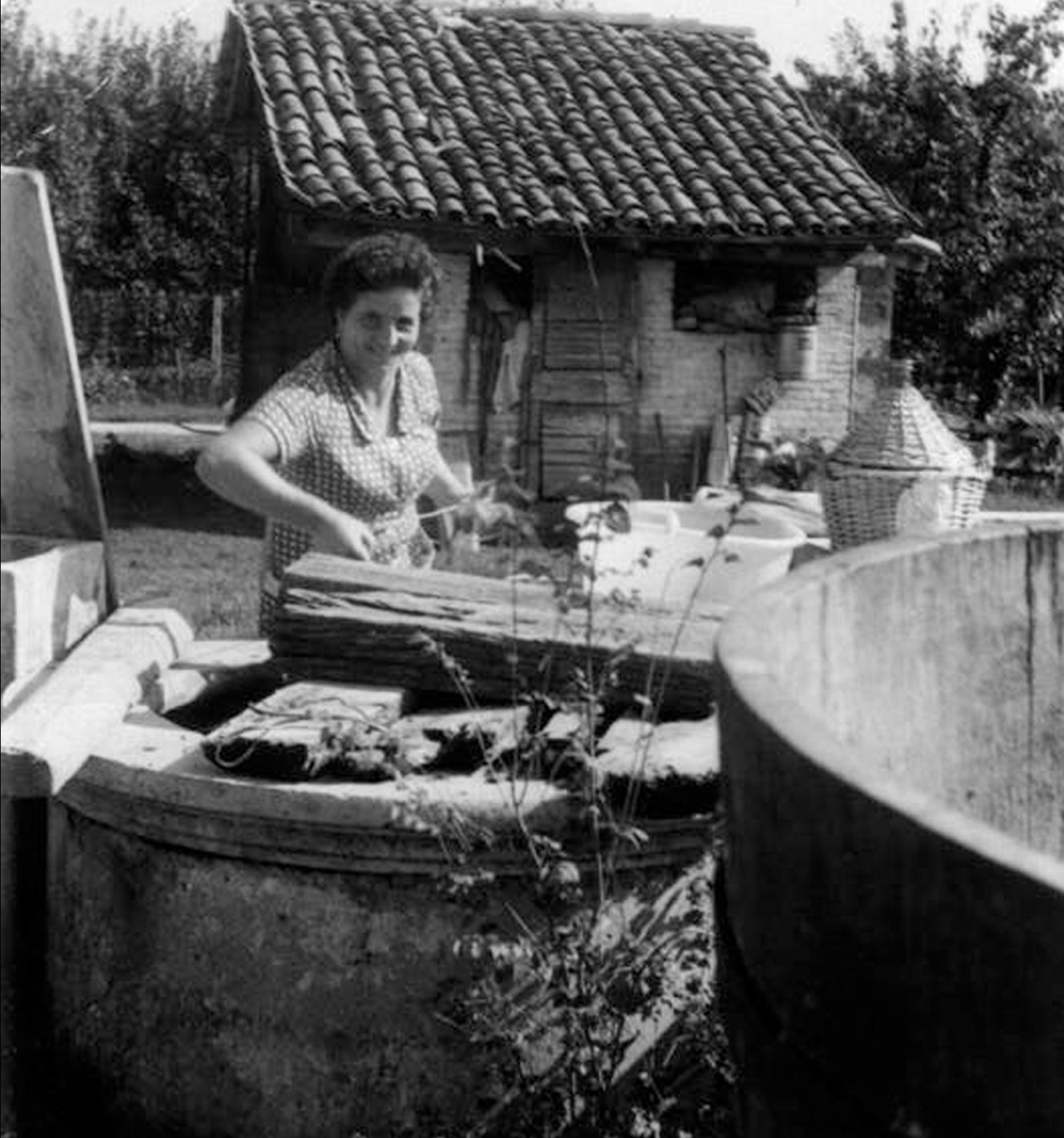 Rosina, moglie di Luigi Malaguti, nei preparativi della vendemmia