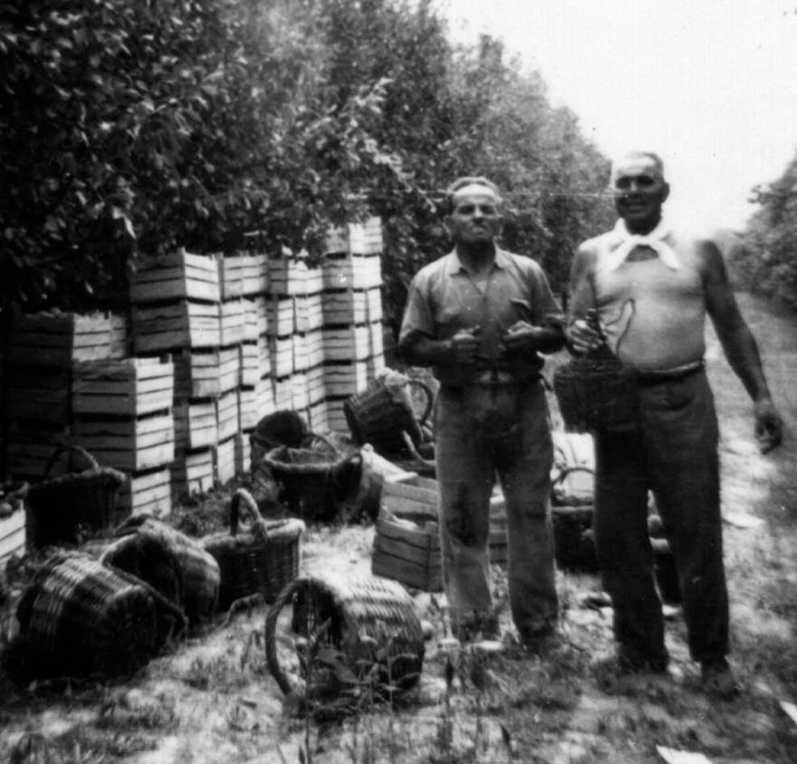 Ghelfi Demetrio e Caselli Nando